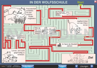 Das Verhalten der Wlfe