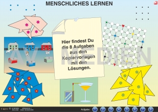 Menschliches Lernen