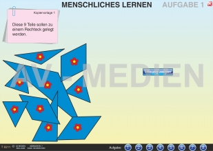 Menschliches Lernen
