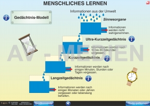 Menschliches Lernen