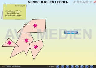 Menschliches Lernen