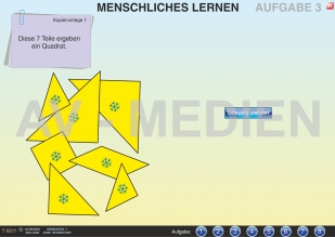 Menschliches Lernen