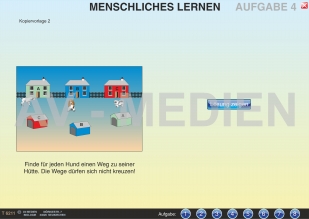 Menschliches Lernen