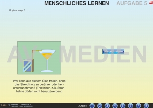 Menschliches Lernen