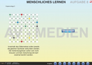 Menschliches Lernen
