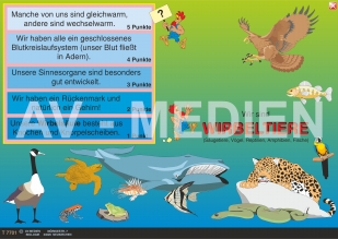 Merkmale der Wirbeltiere