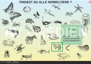 Merkmale der Wirbeltiere