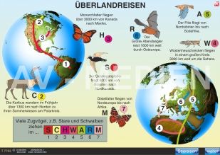 Wo Tiere leben / Tierwanderungen