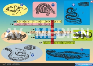 Merkmale der Reptilien