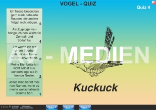 Merkmale der Vgel