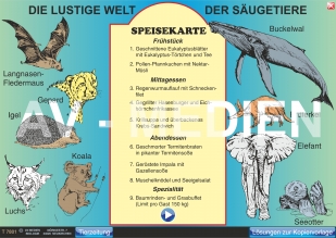 Merkmale der Sugetiere