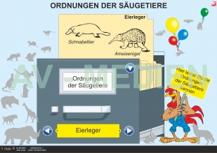 Die Ordnungen der Sugetiere