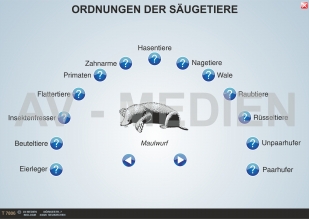 Die Ordnungen der Sugetiere