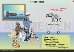 Die Raubtiere (Fleischfresser)
