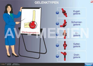 Gelenke und Gelenktypen