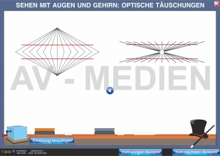 Optische Täuschungen