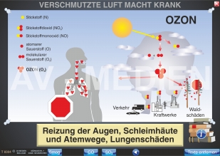 Verschmutzte Luft macht krank