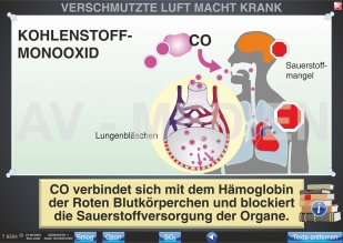 Verschmutzte Luft macht krank