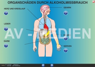 Organschäden durch Alkoholmissbrauch