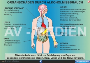 Organschäden durch Alkoholmissbrauch