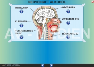 Organschäden durch Alkoholmissbrauch