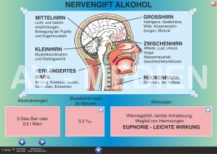 Organschäden durch Alkoholmissbrauch