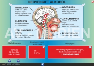 Organschäden durch Alkoholmissbrauch