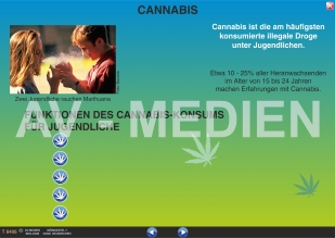 Cannabis: Haschisch und Marihuana