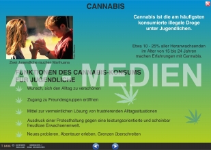 Cannabis: Haschisch und Marihuana