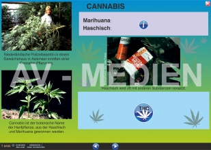 Cannabis: Haschisch und Marihuana