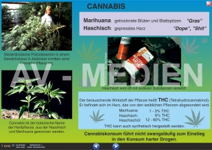 Cannabis: Haschisch und Marihuana