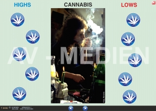 Cannabis: Haschisch und Marihuana