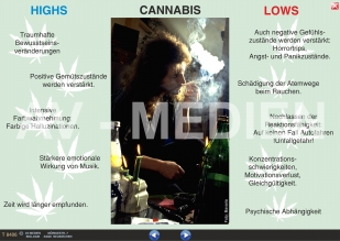Cannabis: Haschisch und Marihuana