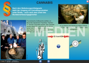 Cannabis: Haschisch und Marihuana