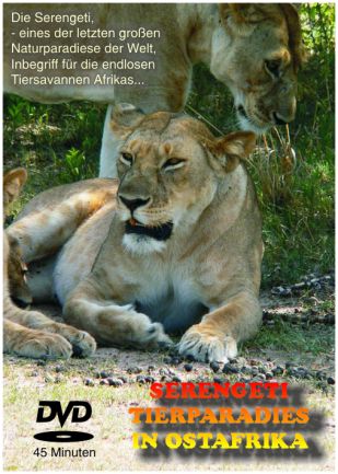 DVD: Serengeti - Tierparadies in Ostafrika