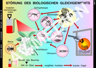 Störung des biologischen Gleichgewichts