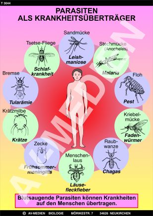 Parasiten als Krankheitsüberträger