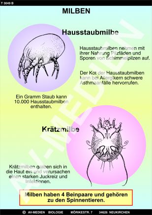 Wanzen - Milben - Zecken