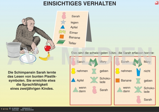 Einsichtiges Verhalten - AV-Medien Onlineshop